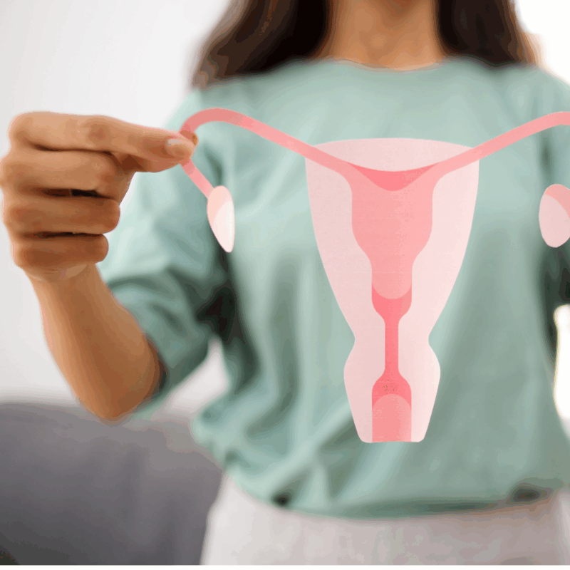 Understanding the Abdominal Wall: Moving Beyond the Gap